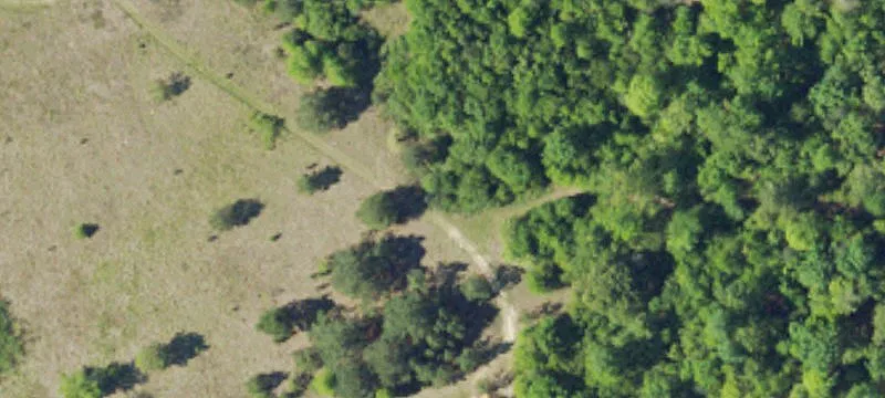 336 Pne Log Rd