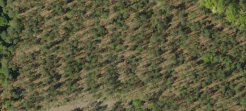 Pendleton, SC 29670