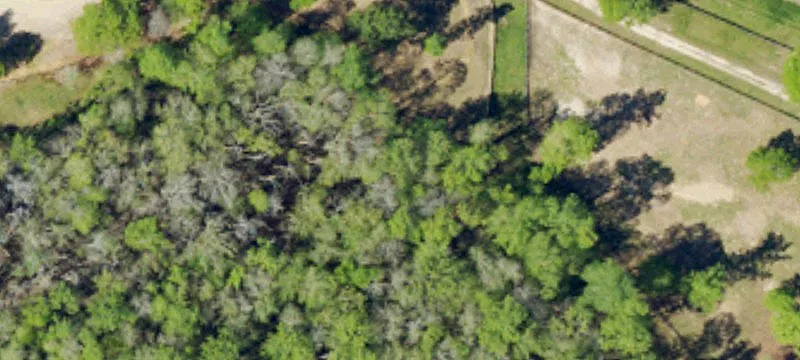 546 Mcintosh Loop