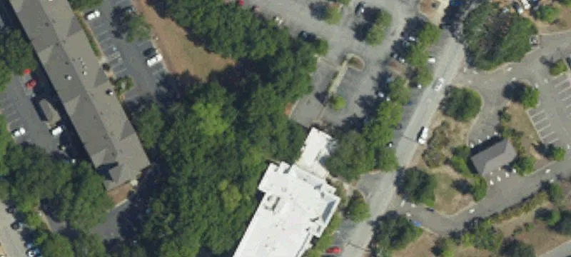 350 Johnnie Dodds Blvd