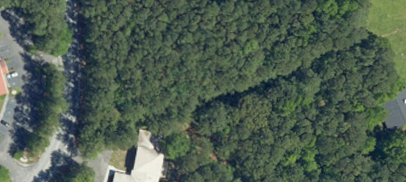 96 Wisteria Rd