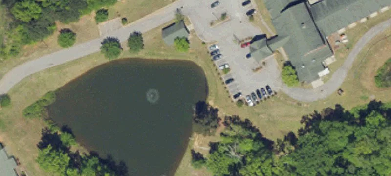 7142 Woodrow St