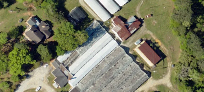 629 Mendenhall Rd
