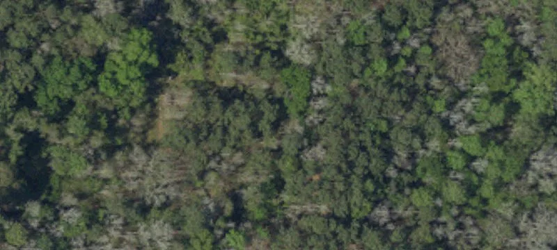 62 Portee Ln