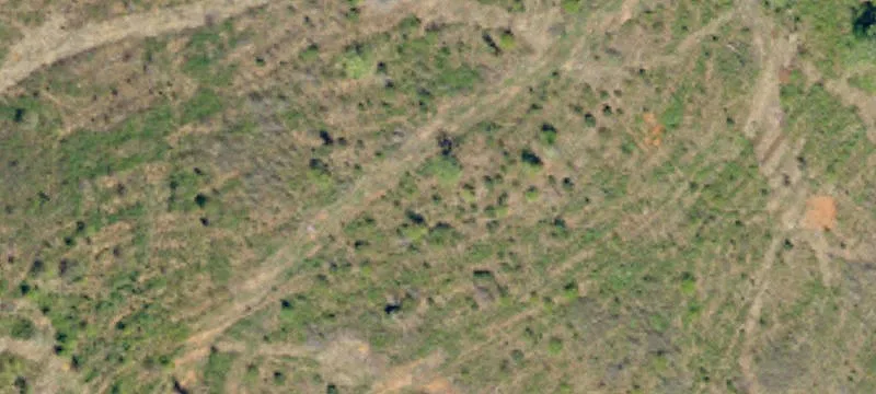 210 Conway Black Rd