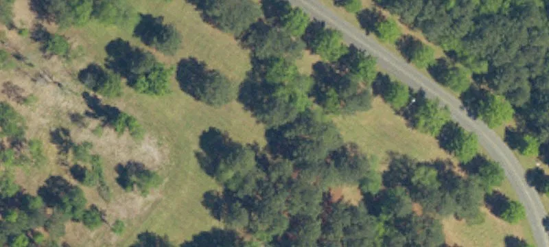 301 Hwy Near Acl Rr