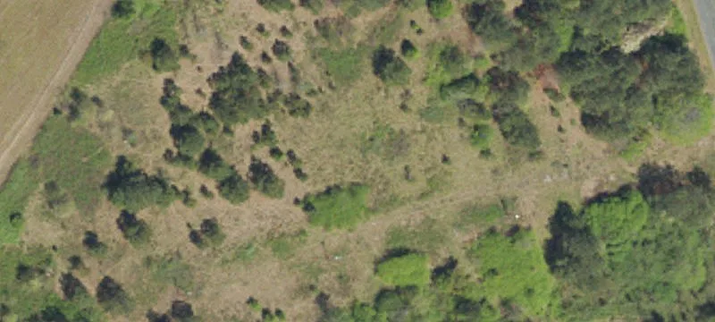 Hartsville, SC 29550