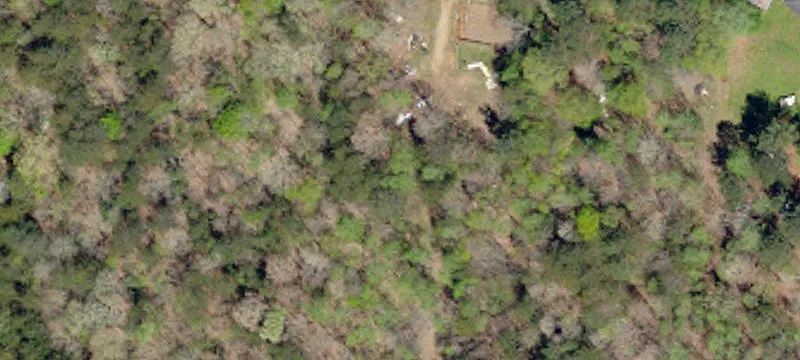 2220 Grace Chapel Rd