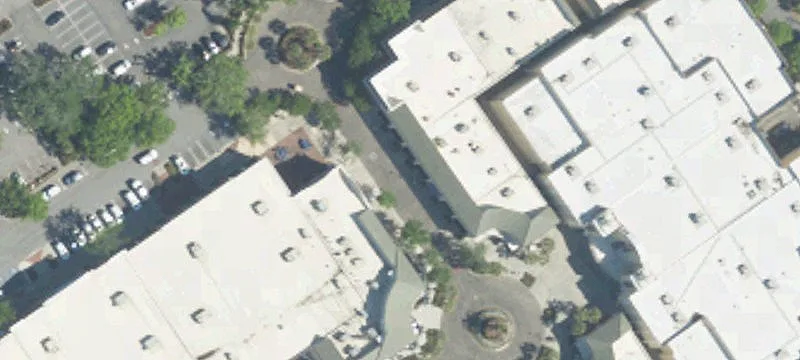 1600 Palmetto Grande Dr