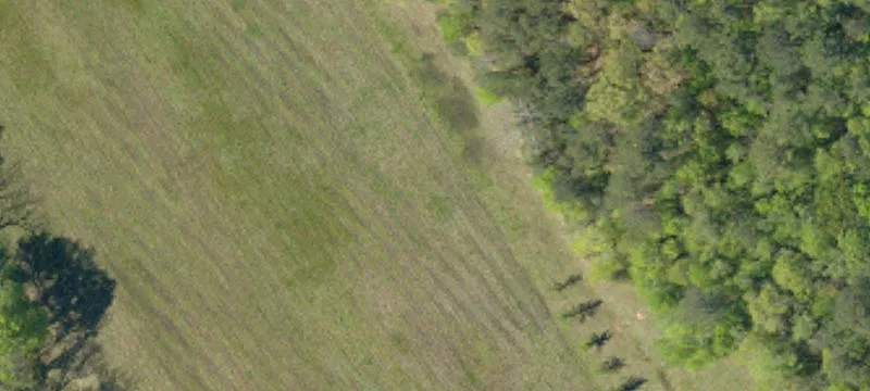 2737 Wheeland School Rd
