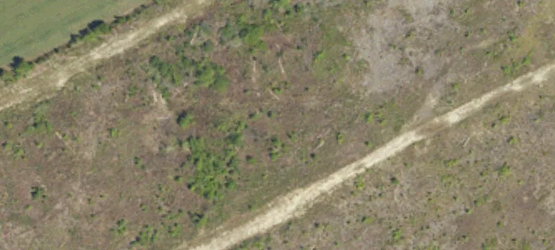 181 Tree Farm Rd