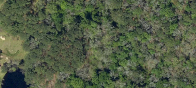 Cottageville Hwy