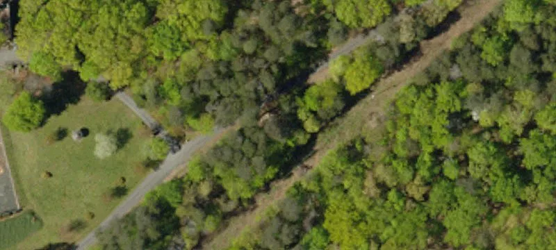 Whitaker Mtn Rd