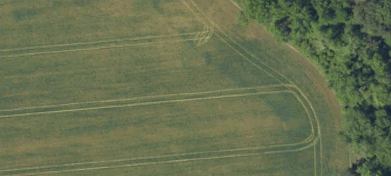Pinewood, SC 29125