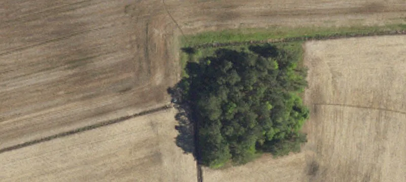 Aynor, SC 29511