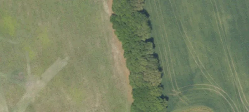 Alcolu, SC 29001