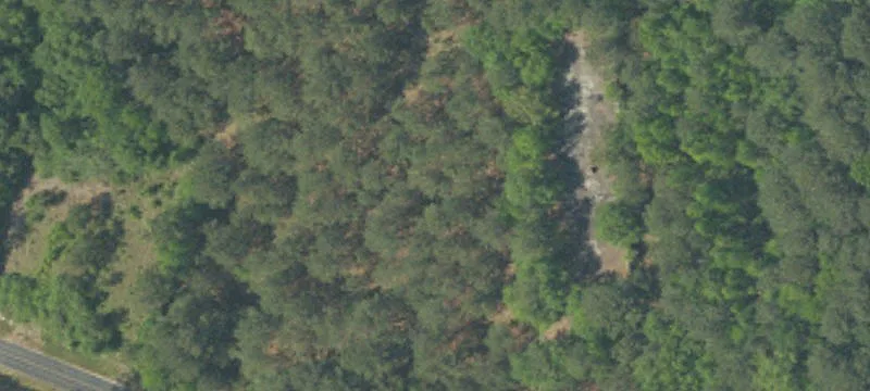 Manning, SC 29102