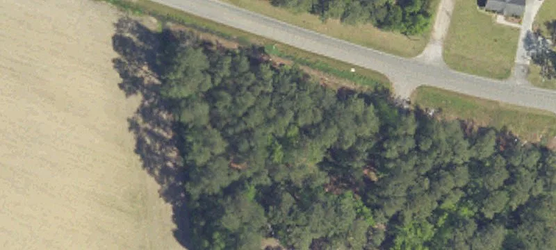 Hemingway Hwy