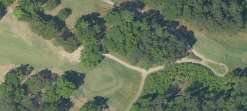 Manning, SC 29102