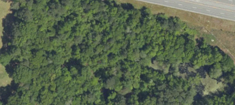 Myrtle Bch Hwy