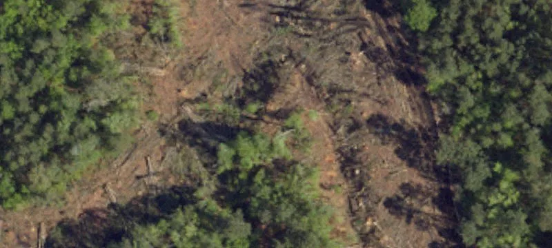 10081 Sand Plant Rd