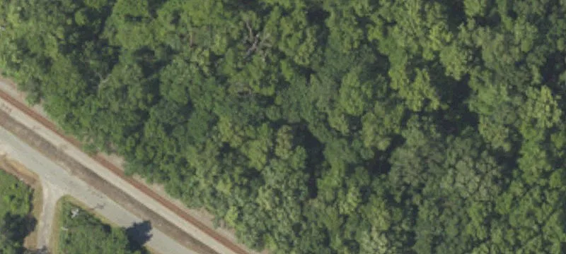 Greeleyville, SC 29056