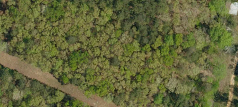Walhalla, SC 29691