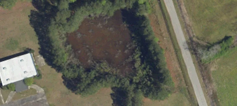 Mullins, SC 29574