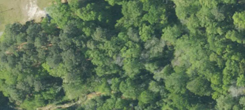 Warrenville, SC 29851