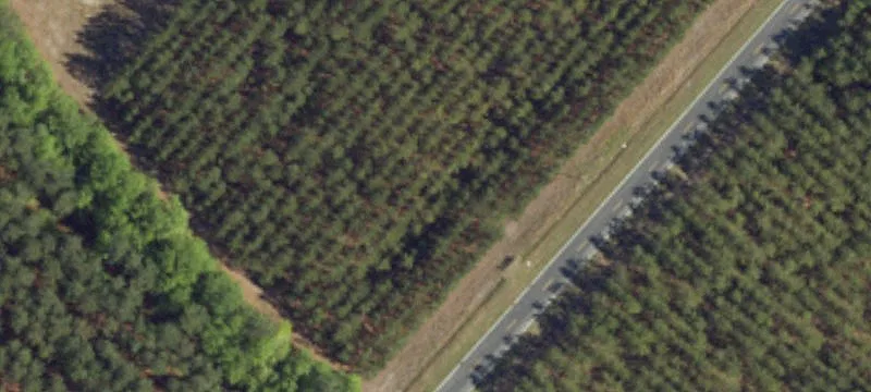 Conway, SC 29527
