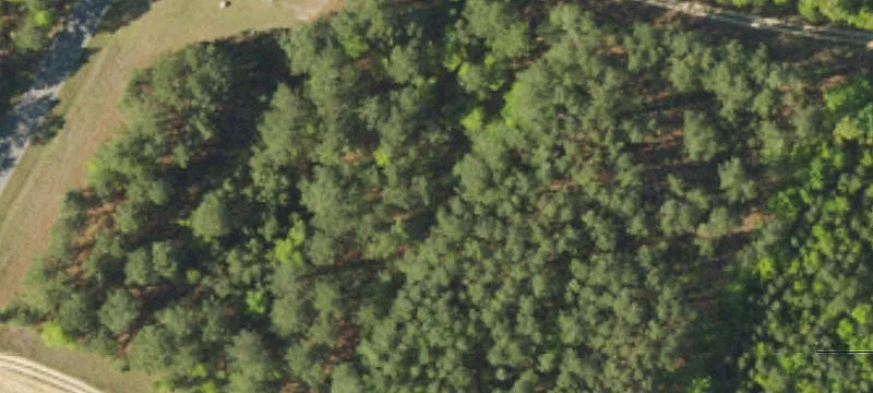 Williston, SC 29853