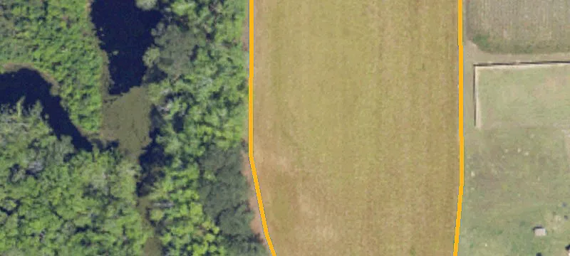 Longs, SC 29568