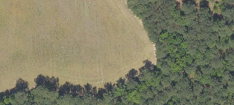 Lamar, SC 29069