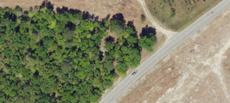 Barnwell, SC 29812