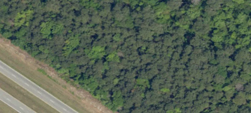 Marion, SC 29571