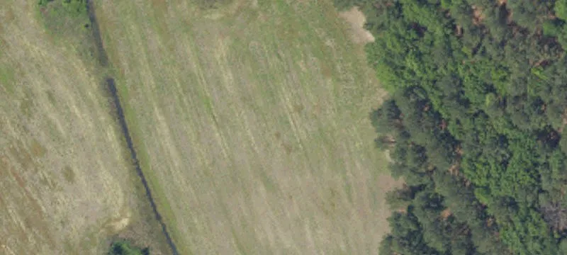 3885 Bacon Hill Rd