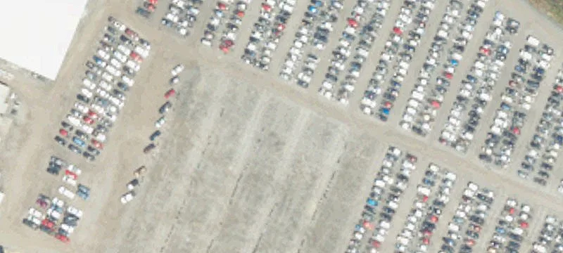 Cades, SC 29518