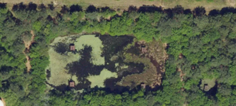 Barnwell, SC 29812