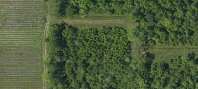 Saint Helena Island, SC 29920