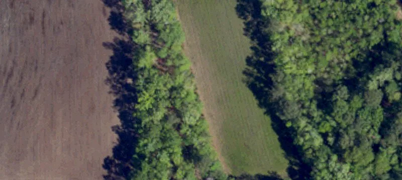 5150 Long Br Swamp Rd