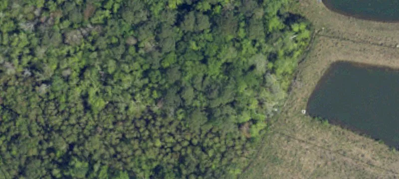 Hwy Byp 317