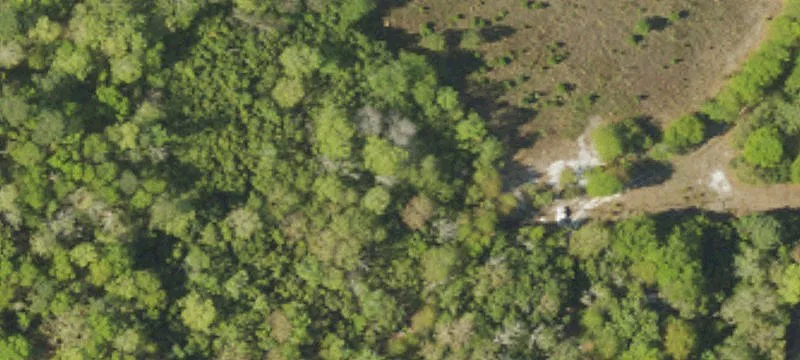 Barnwell, SC 29812