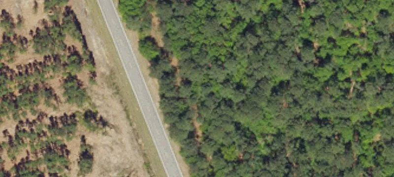 Salley, SC 29137