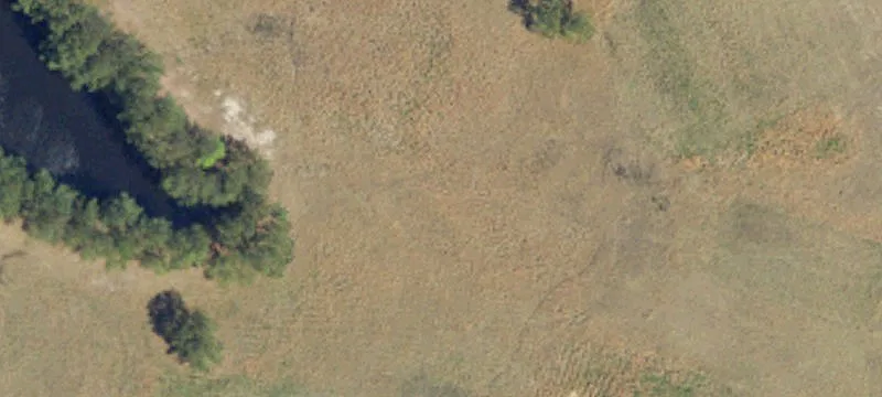 Longs, SC 29568