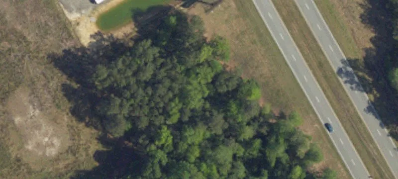 Galivants Ferry, SC 29544
