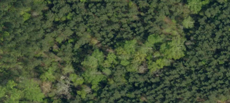 Walhalla, SC 29691