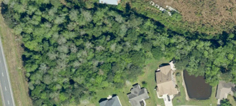 Wood Duck Ln