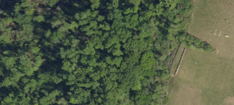 Marion, SC 29571