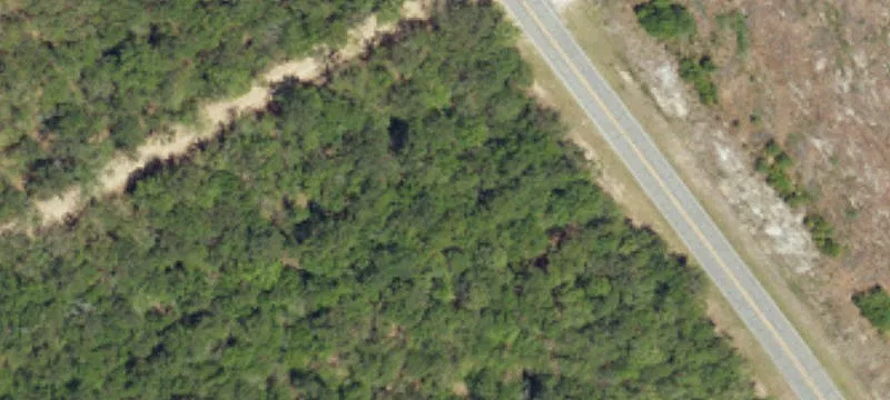 Lowcountry Hwy