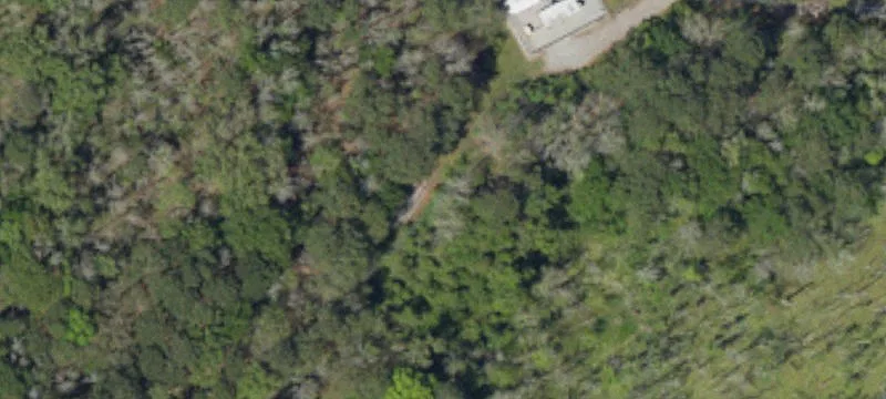 Cottageville, SC 29435